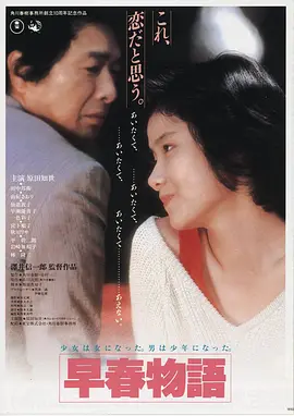 赤焰战场 2010 电影海报
